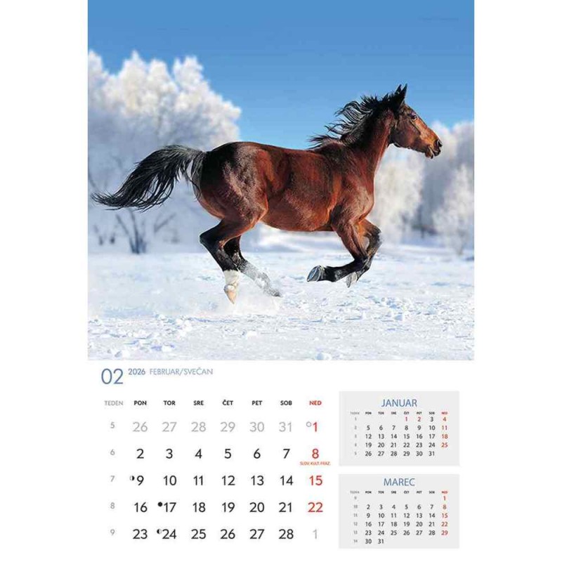 koledar 2026 KONJI  K0043