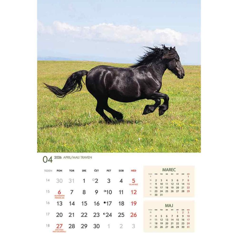 koledar 2026 KONJI  K0043