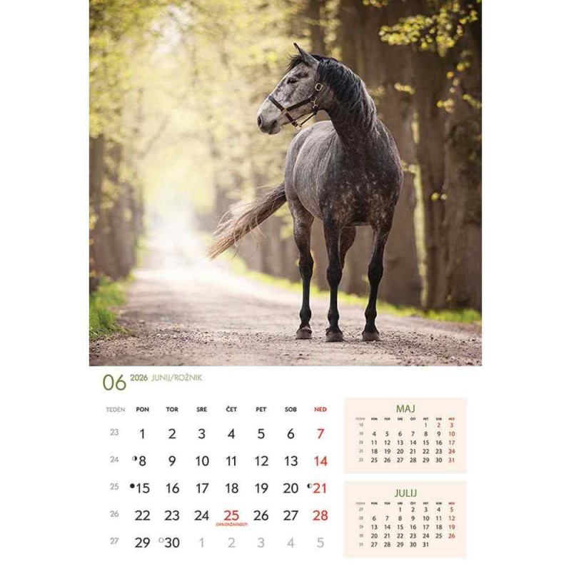 koledar 2026 KONJI  K0043