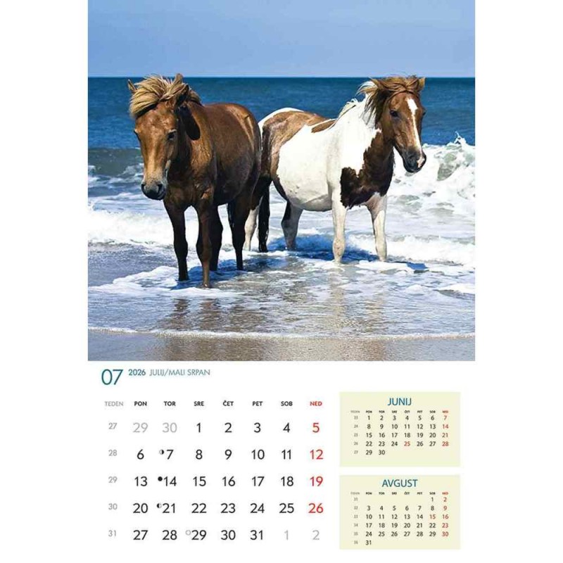 koledar 2026 KONJI  K0043