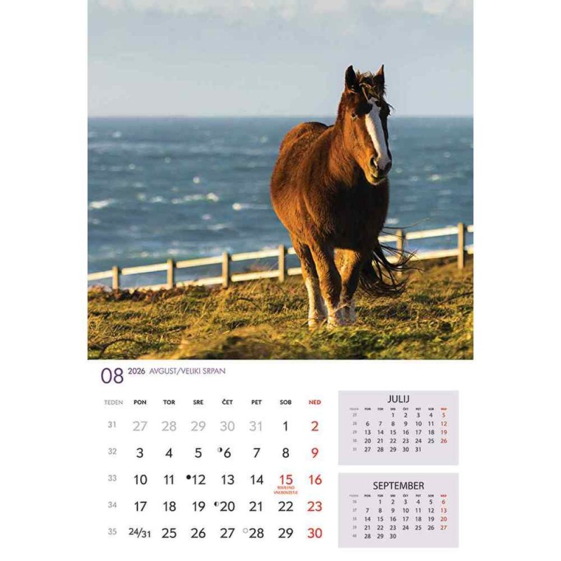 koledar 2026 KONJI  K0043