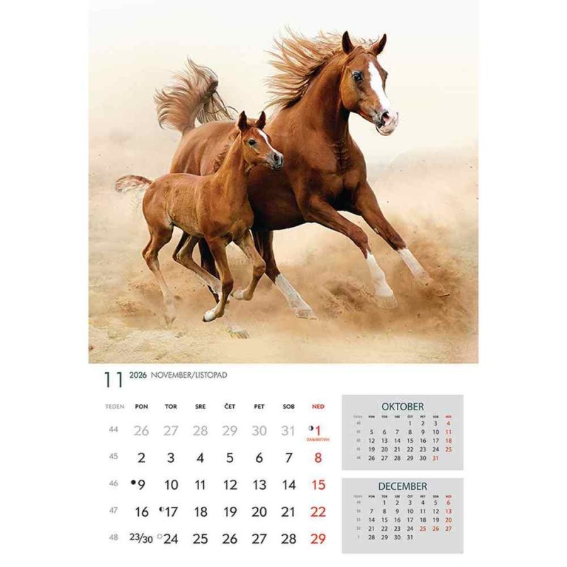 koledar 2026 KONJI  K0043