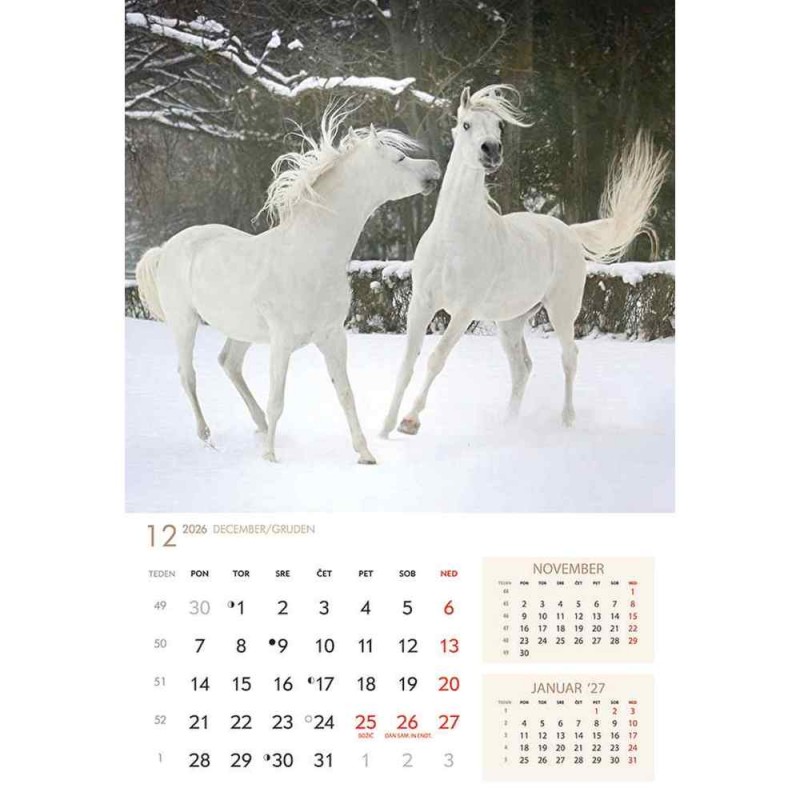 koledar 2026 KONJI  K0043