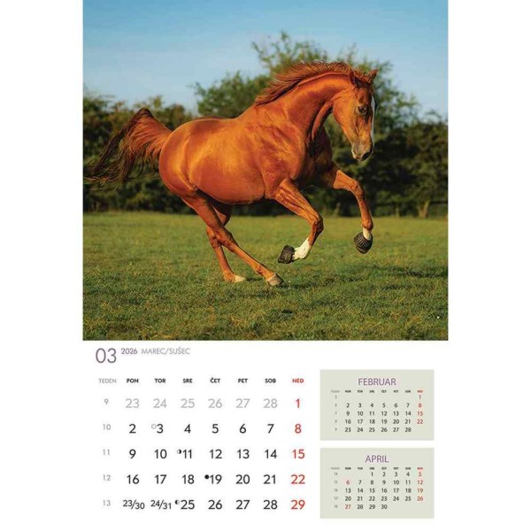 koledar 2026 KONJI  K0043