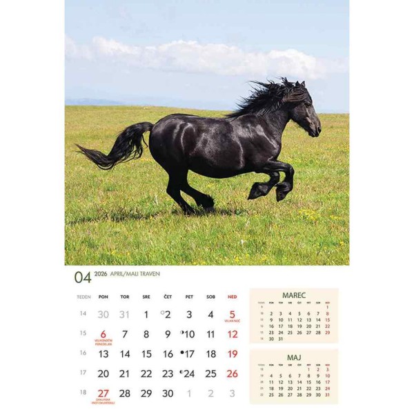 koledar 2026 KONJI  K0043