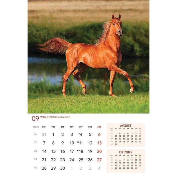 koledar 2026 KONJI  K0043