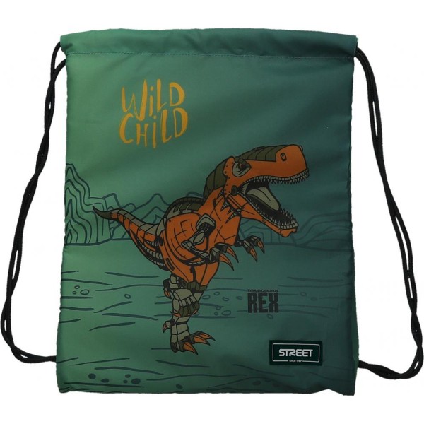 Vrečka Za Copate Dinosaur