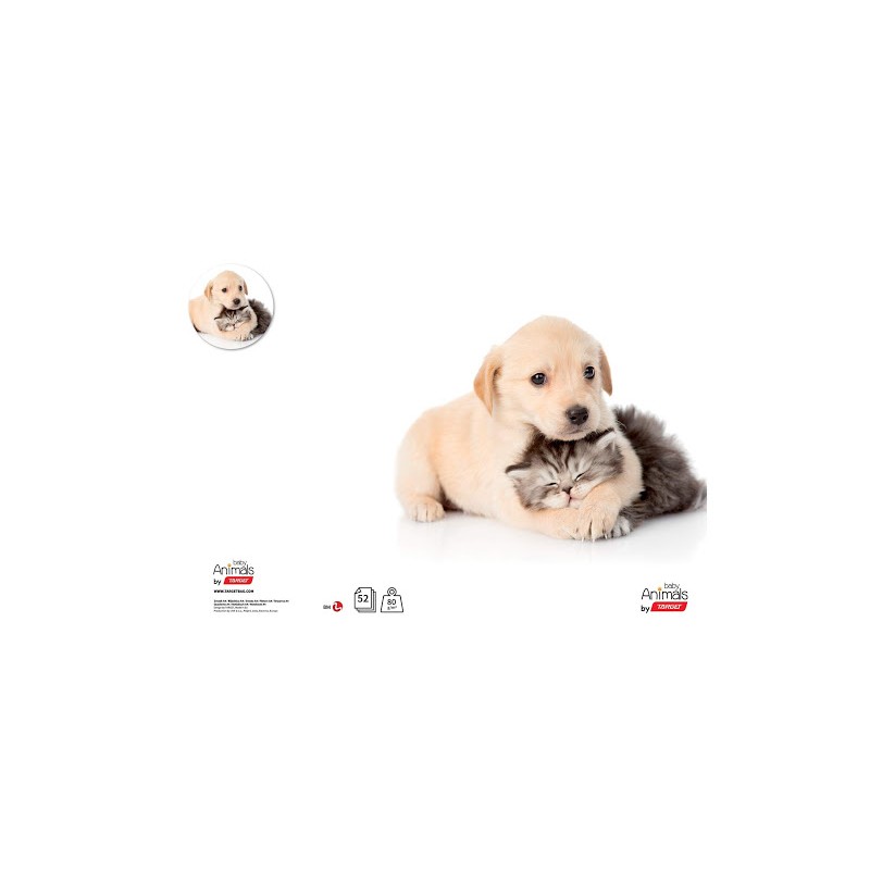 ZVEZEK A4 1cm KARO TARGET ANIMAL BABY 26063