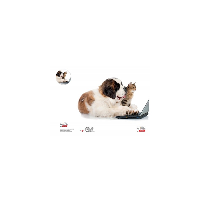 ZVEZEK A4 1cm KARO TARGET ANIMAL BABY 26063