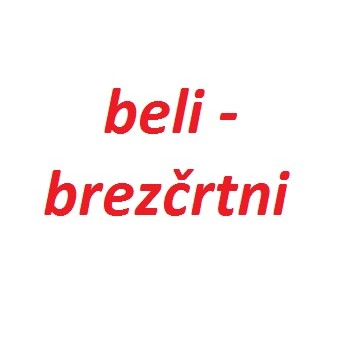 Zvezek-brezcrtni-beli