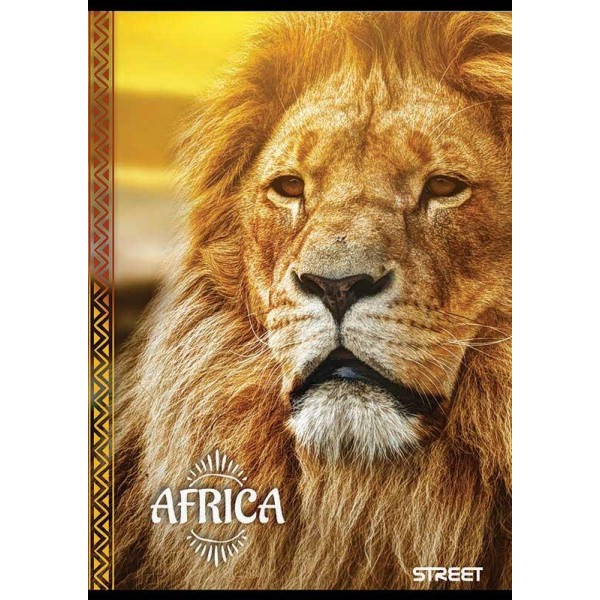 Zvezek Street Africa A4 1CM karo 80listni