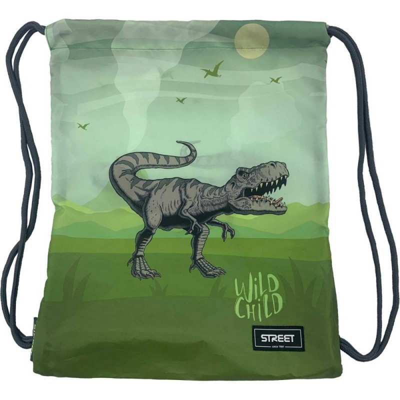 VREČKA ZA COPATE DINOSAUR  530953